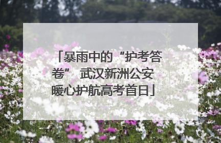 暴雨中的“护考答卷” 武汉新洲公安暖心护航高考首日